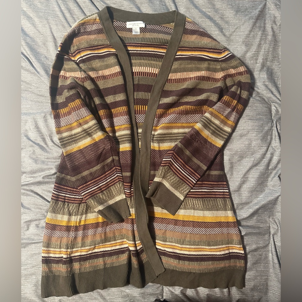 Christopher & Banks Earthy Striped Sweater